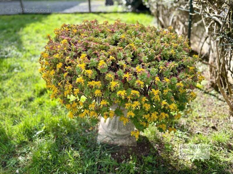 Maison à LA ROCHELLE