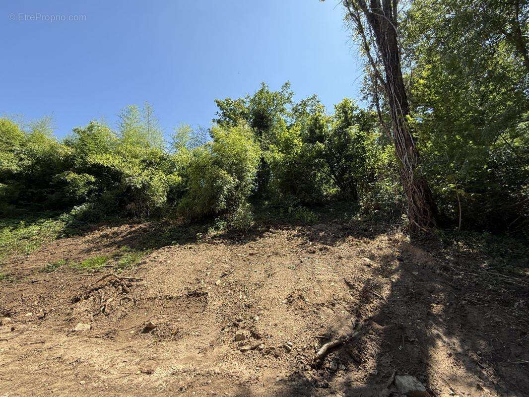 Terrain à CHAPONOST