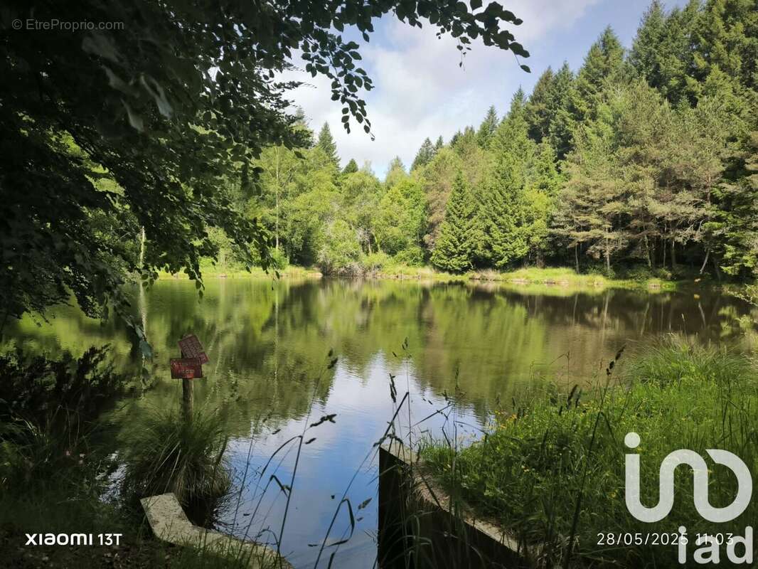 Photo 4 - Terrain à NIEUL