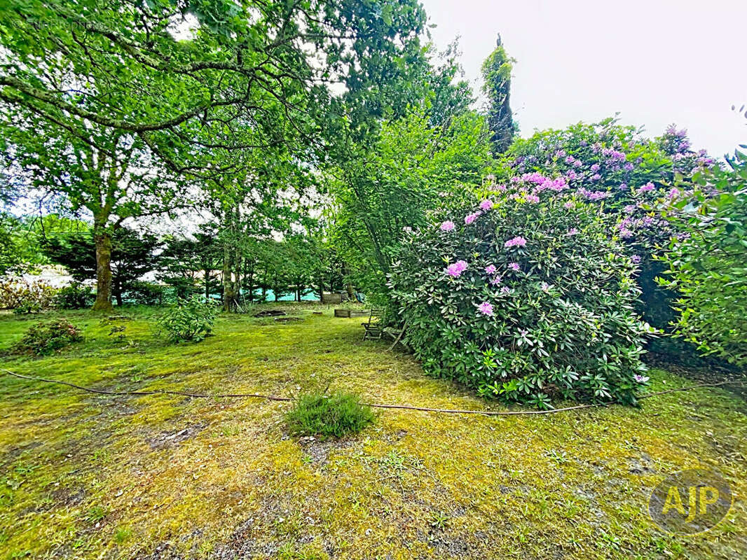 Audenge - maison 4 chambres avec piscine et garage - photo 12