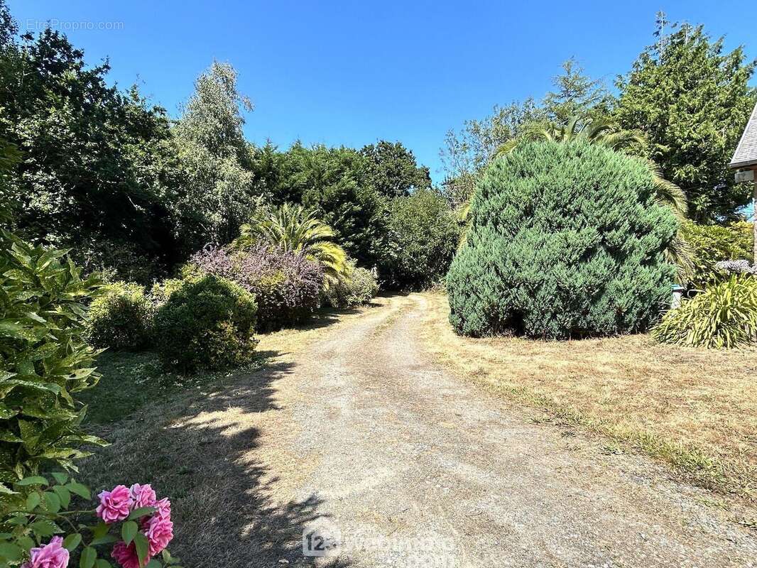 Maison 97 m² à Tredrez-Locquemeau  - photo 3