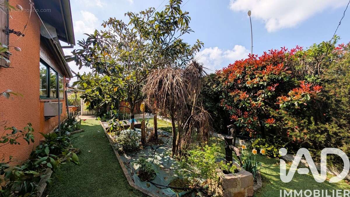 Photo 2 - Maison à COLOMIERS