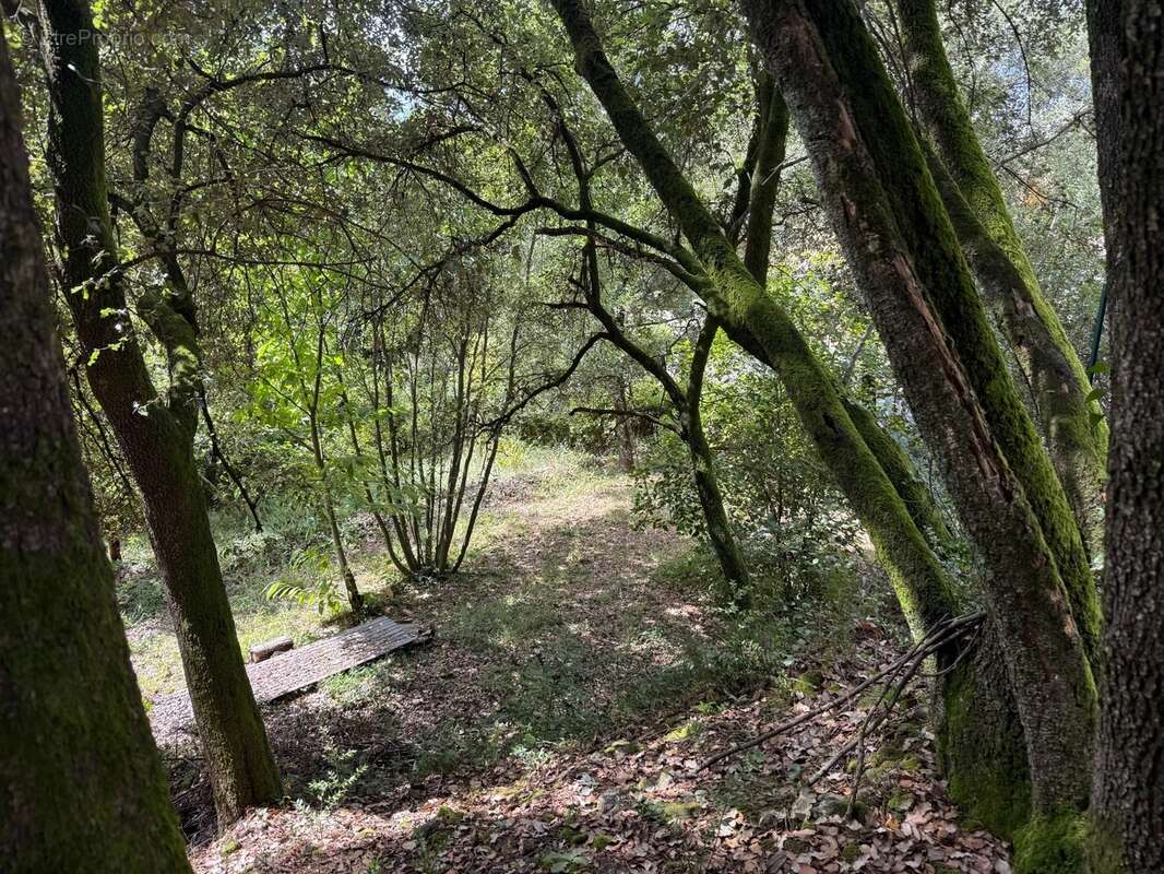 Terrain à bâtir à vendre 1032 m2  CENDRAS (30480) - photo 5