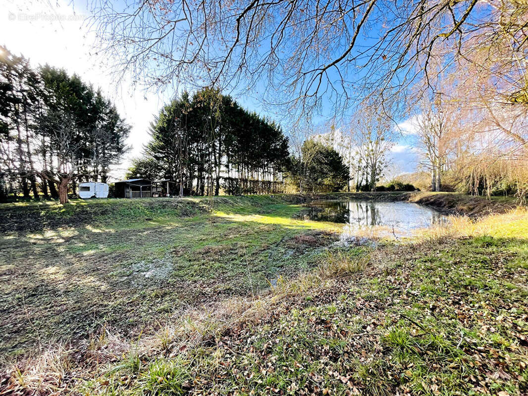 Terrain de loisir avec étang - 7 650 m² de nature - photo 3