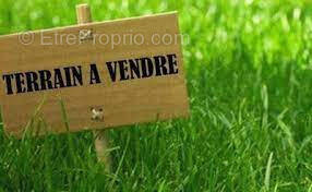 Terrain à construire de 2548m2 en vente à Châteaurenard - photo 4