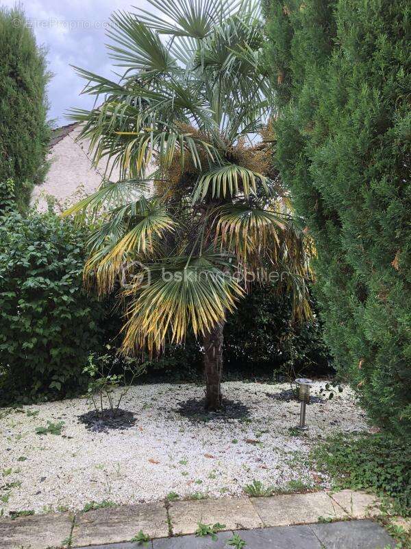 Maison à SAINT-PIERRE-LES-NEMOURS