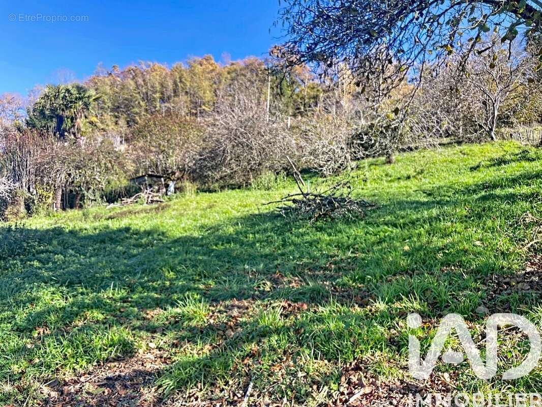 Photo 6 - Terrain à MONEIN
