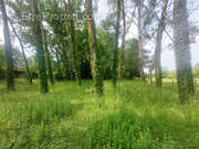 Terrain à LA FLECHE