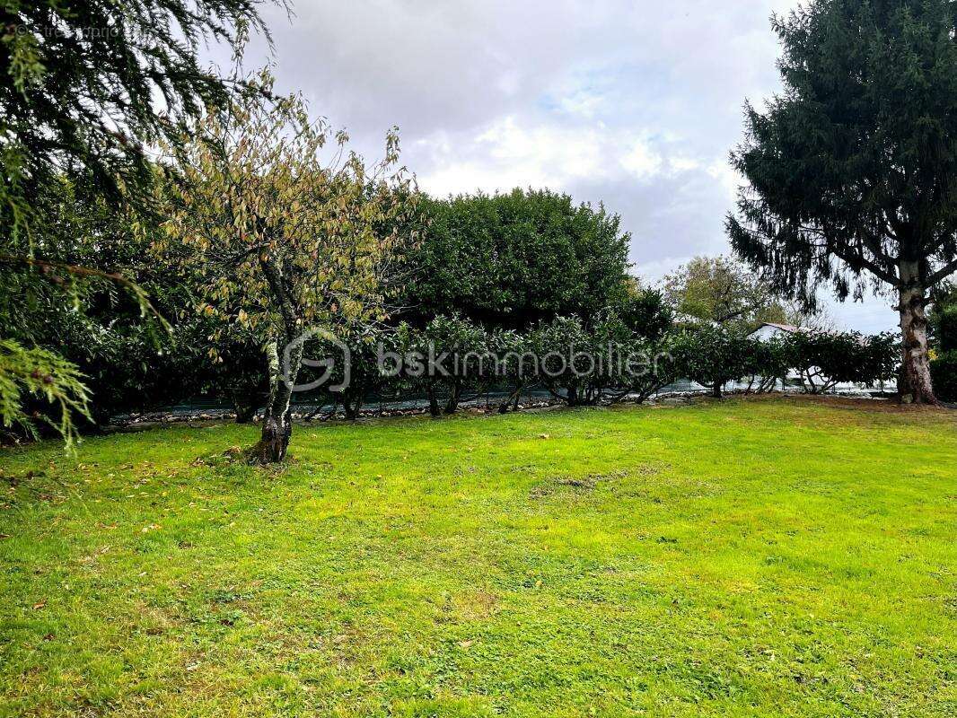 Terrain à LE BREUIL-EN-AUGE