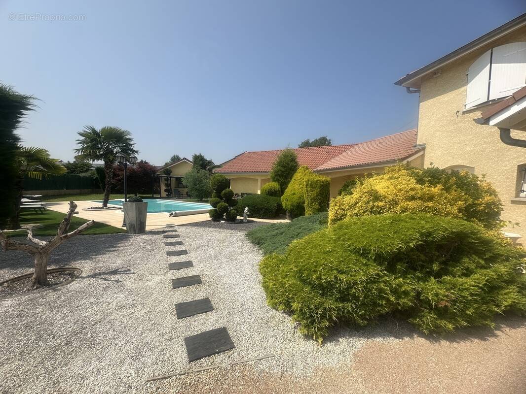 Maison à MONTALIEU-VERCIEU