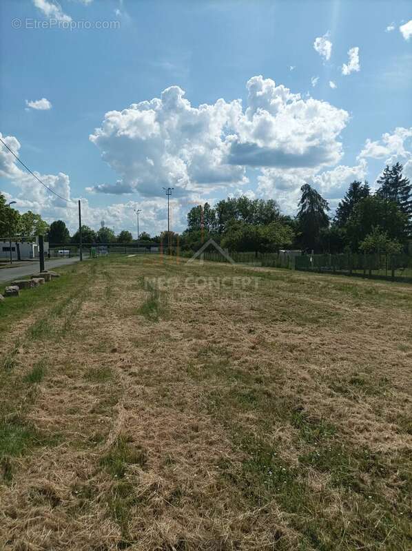 Terrain à LA CROIX-EN-TOURAINE