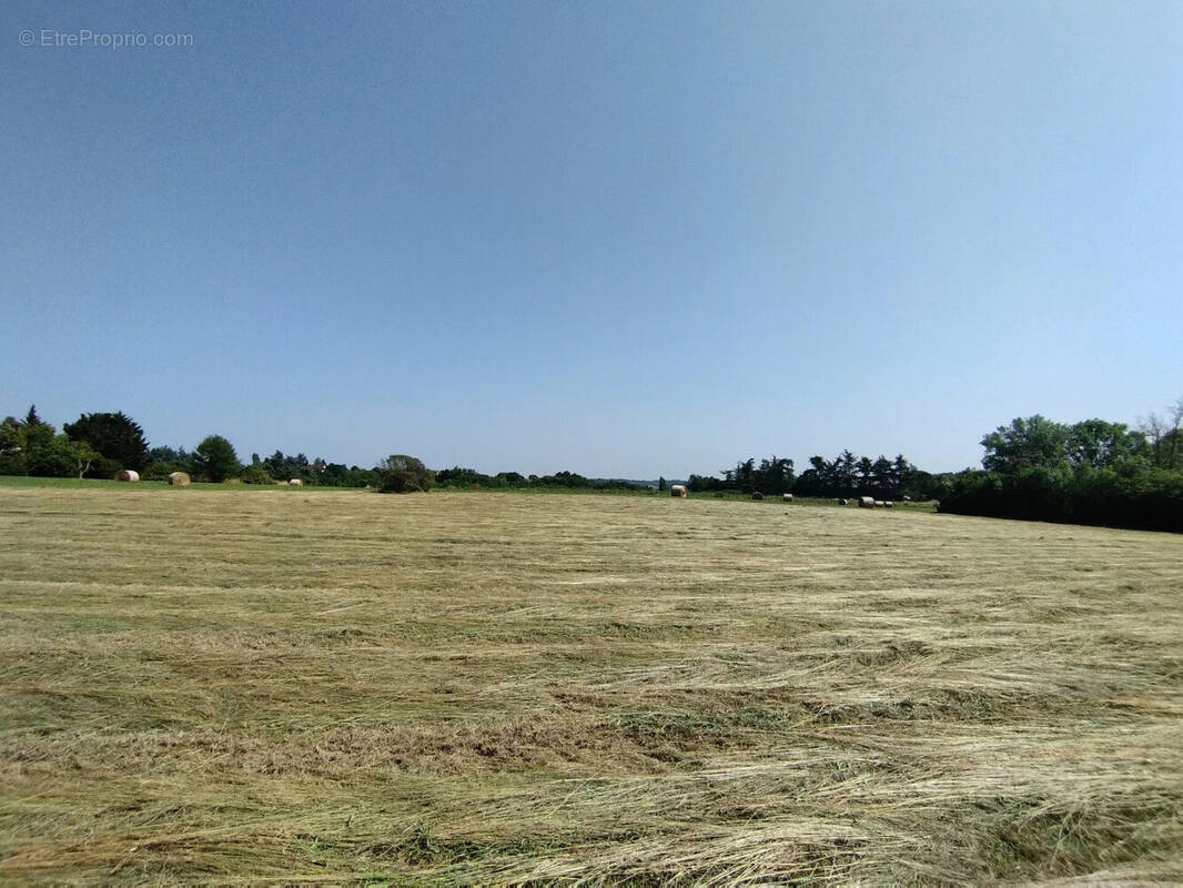 Terrain à CASTELNAU-MONTRATIER