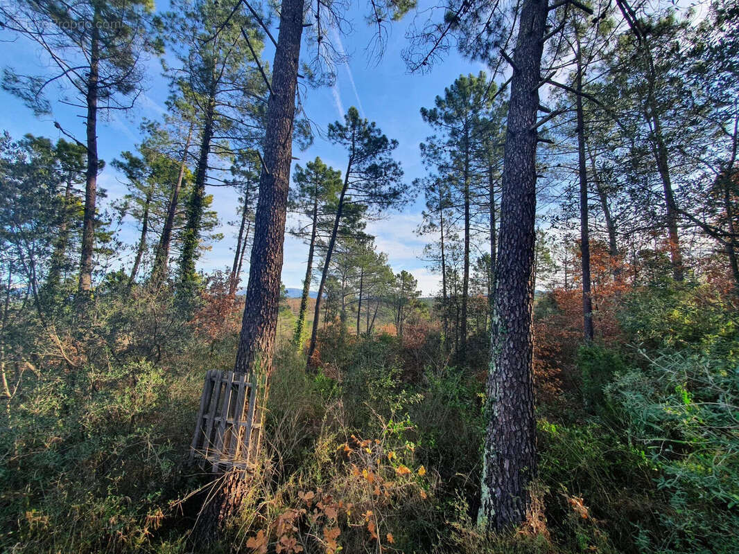 Terrain à SAINT-PAUL-EN-FORET