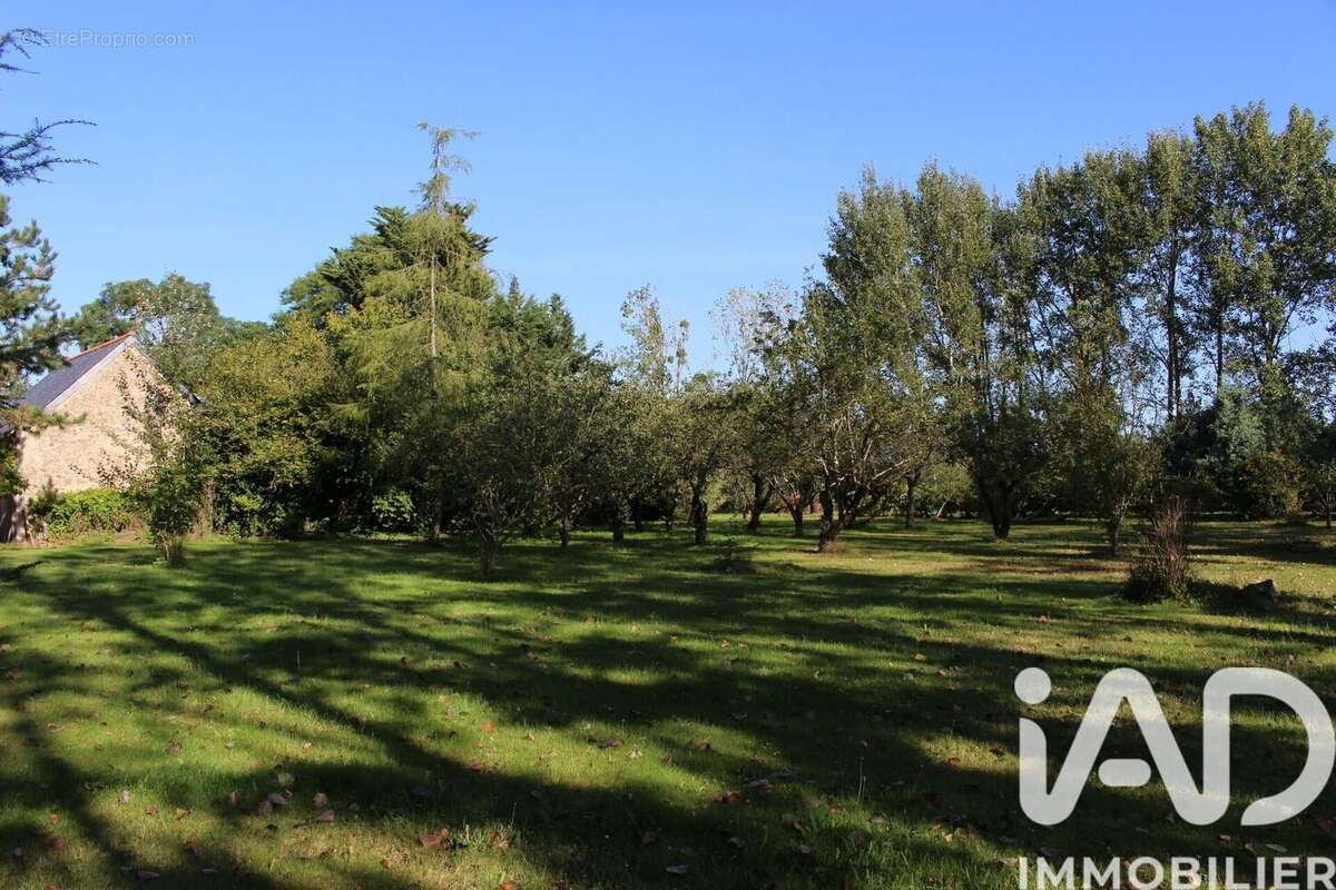 Photo 8 - Maison à CHEMIRE-SUR-SARTHE