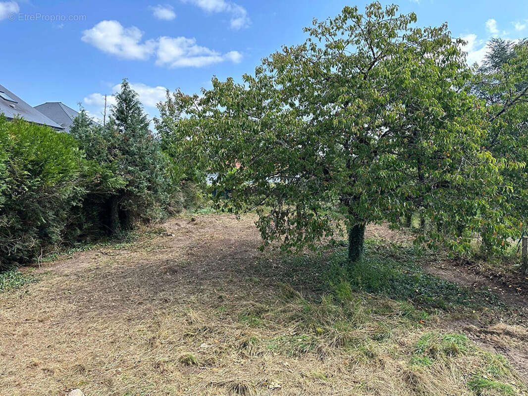 Terrain à SAINT-CYR-EN-VAL