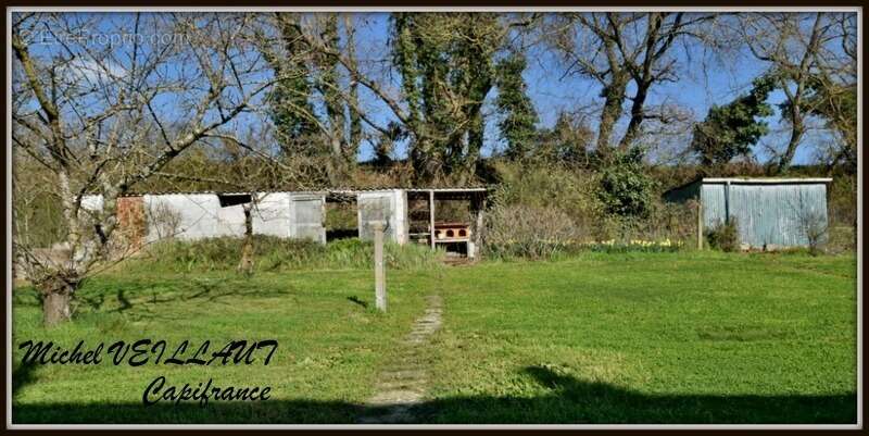 Maison à TOULON-SUR-ALLIER