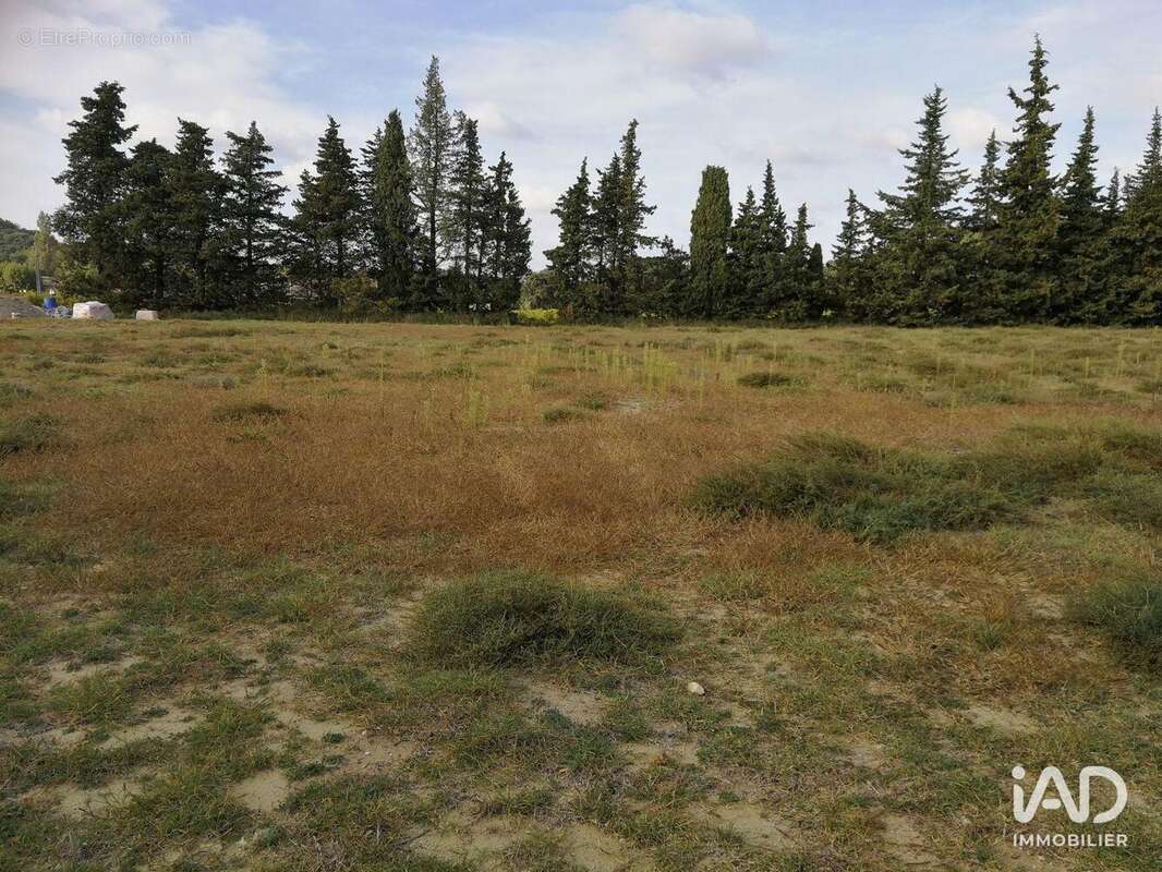 Photo 2 - Terrain à SAINT-PAUL-TROIS-CHATEAUX