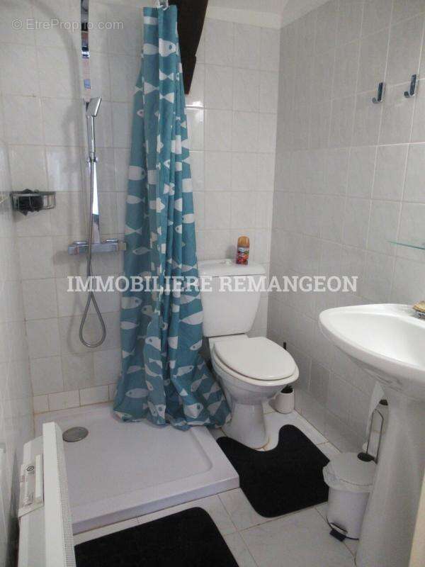 Maison à SELLES-SAINT-DENIS