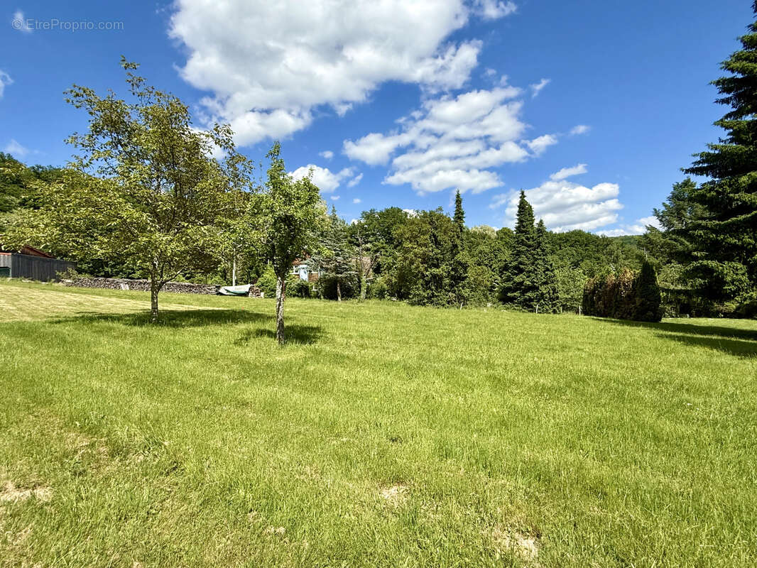 Terrain à BREITENBACH