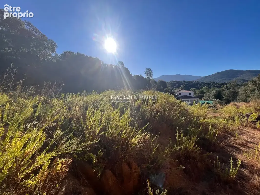 Terrain 1 387 m² à vendre à Bastelicaccia (20129) - photo 4