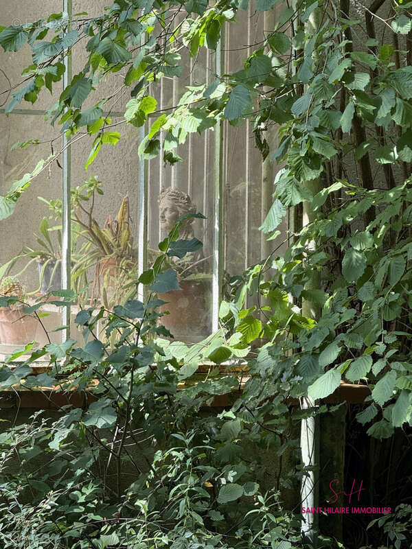 Maison 333 m² à Saint-Hilaire-Saint-Mesmin  - photo 2