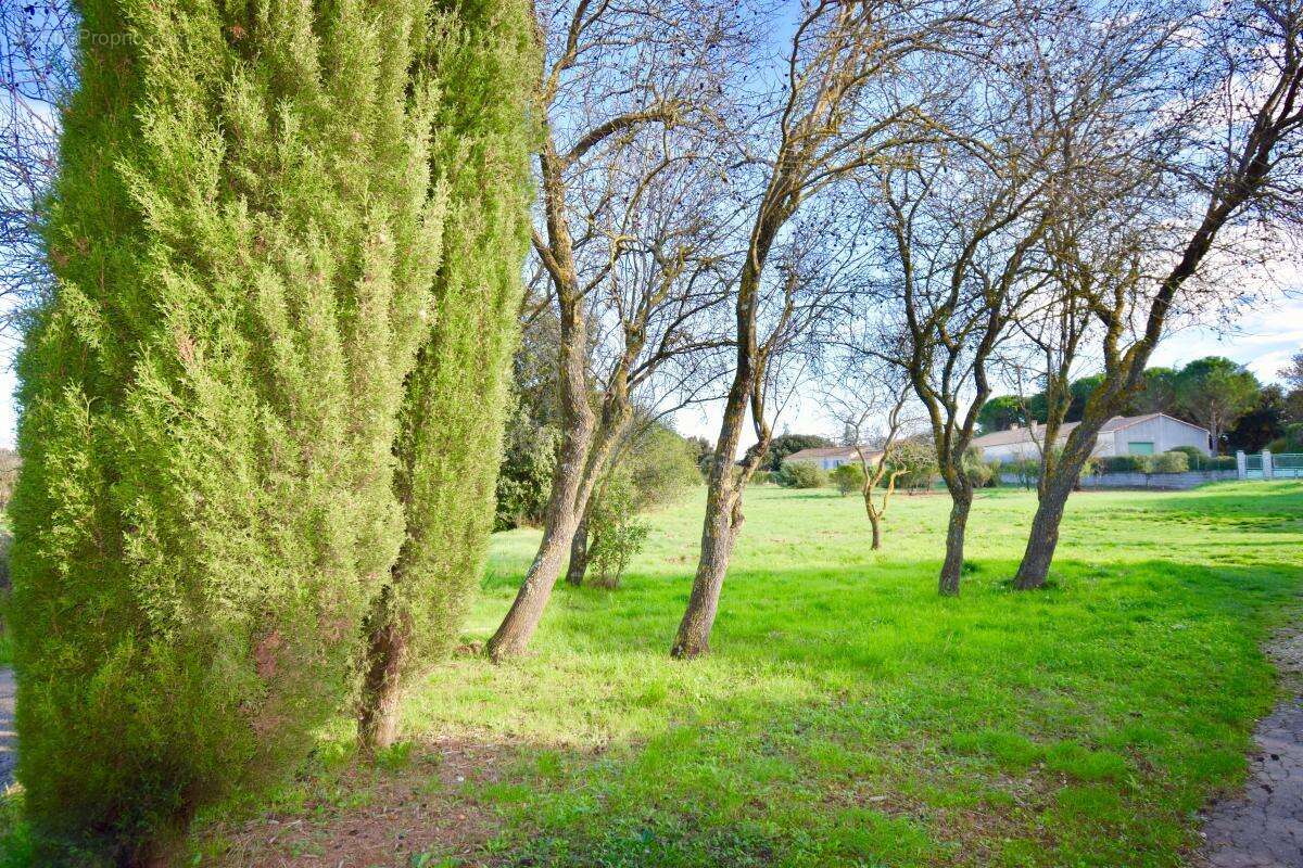Terrain à POUZILHAC