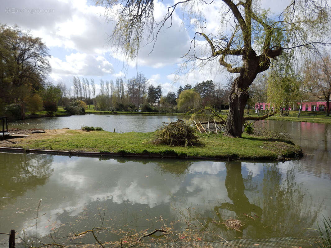 Maison à SAINT-BERTHEVIN