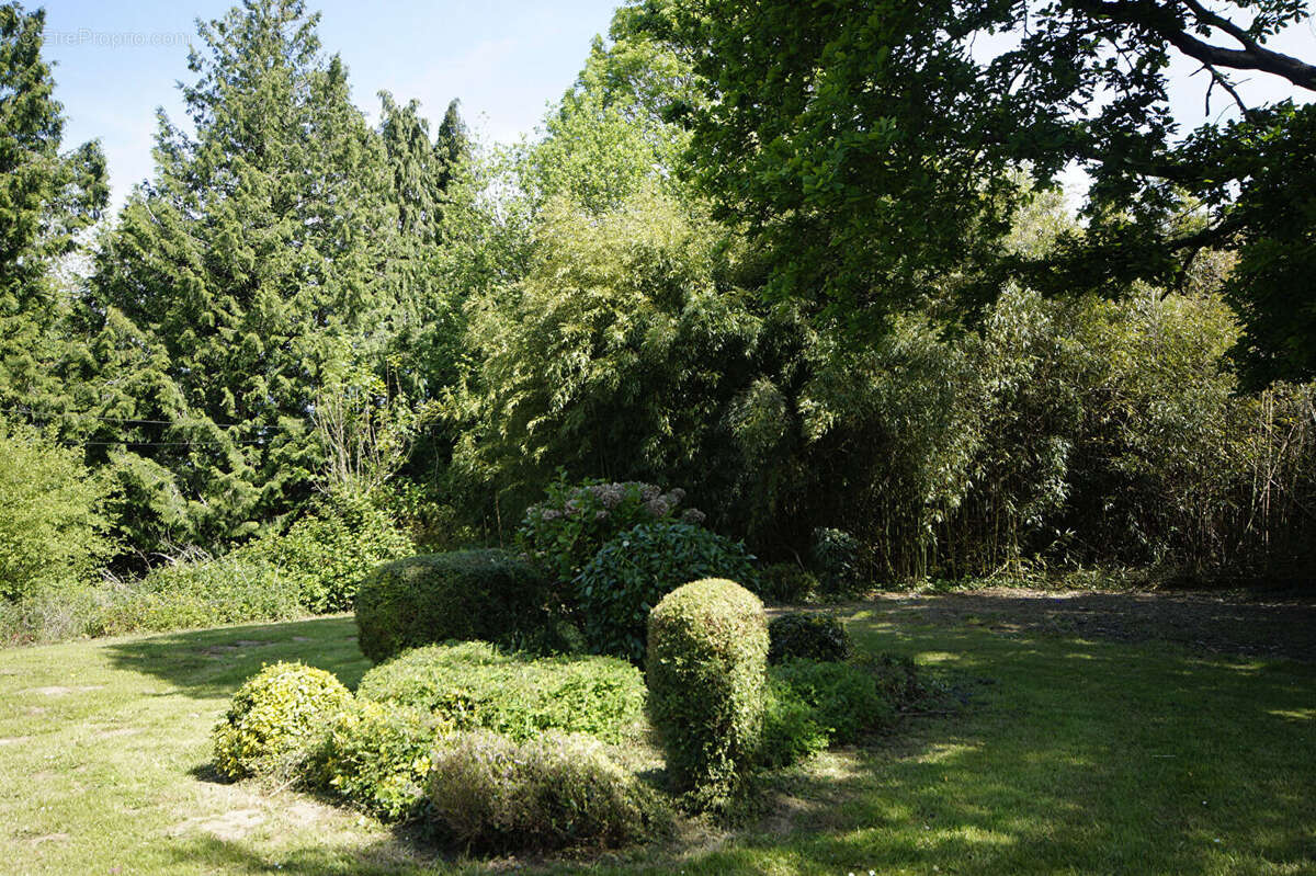 Maison à HUDIMESNIL