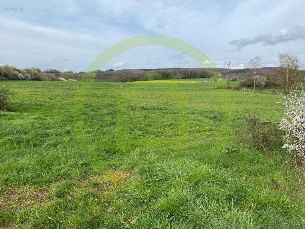 Terrain à VELLEMINFROY