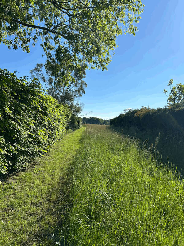 Terrain à PUJO-LE-PLAN