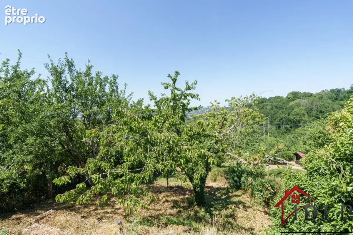 RARE   Maison de Village avec Vue et Potentiel à Coiffy-le- - photo 17