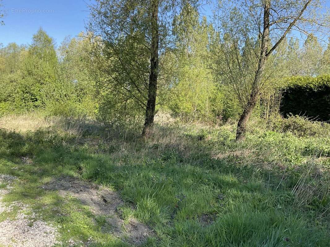 Terrain à BEAUMERIE-SAINT-MARTIN