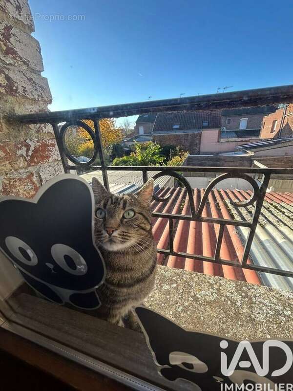 Photo 8 - Maison à MARLY