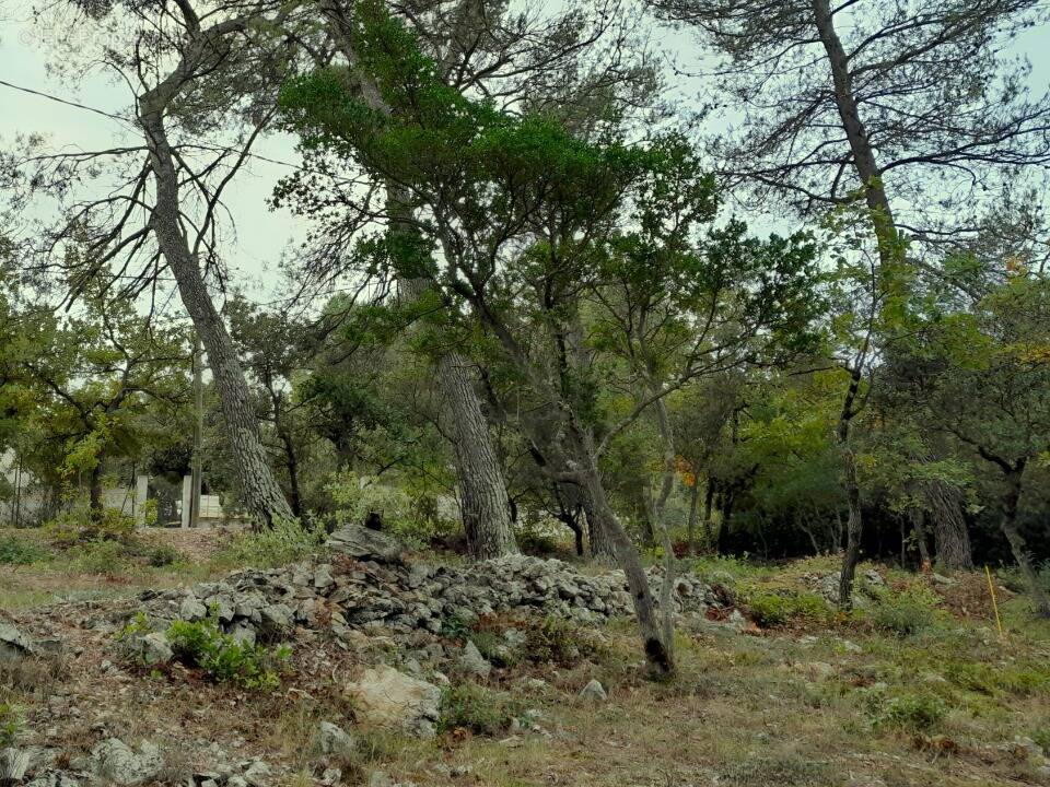 Terrain à SAINT-MAXIMIN-LA-SAINTE-BAUME