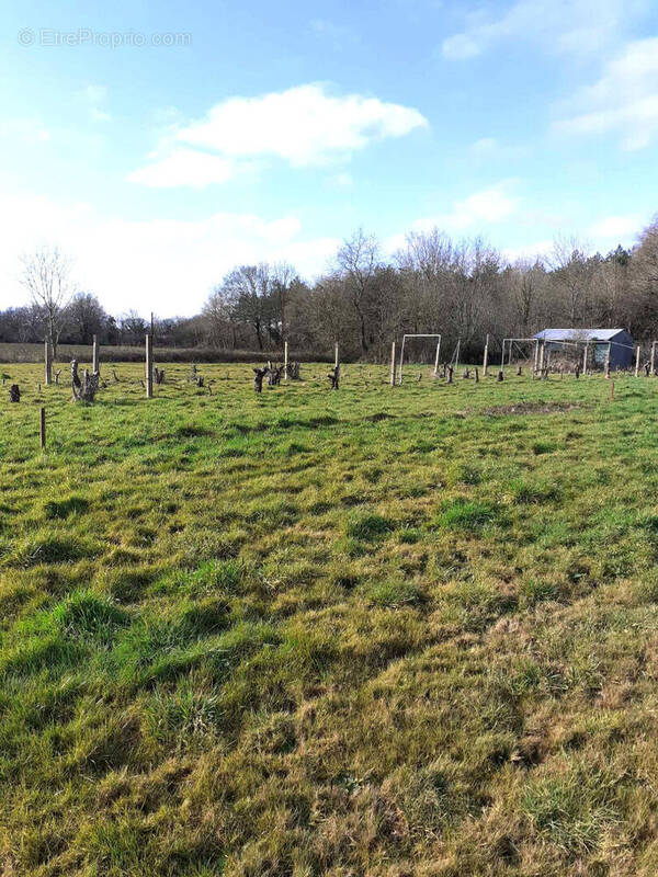 Terrain à TALMONT-SAINT-HILAIRE
