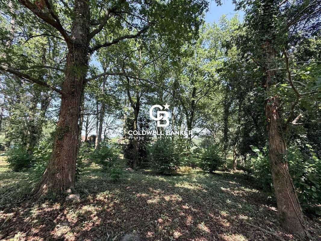 15 min de biarritz — propriété confidentielle dans un parc de 6 500 m² - photo 37
