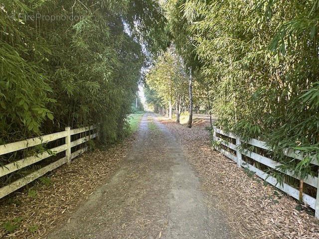 allée d&#039;accès de 700 m - Maison à PLAISANCE