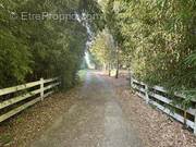 allée d&#039;accès de 700 m - Maison à PLAISANCE