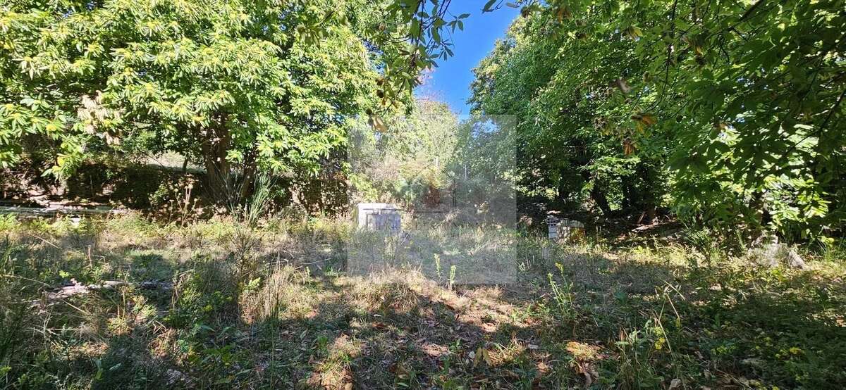 Maison à LE COLLET-DE-DEZE