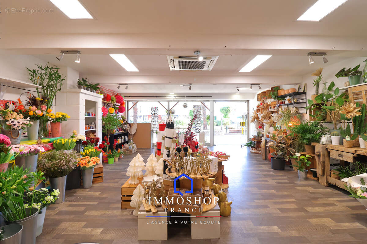 Commerce à PLAN-DE-CUQUES