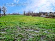 Terrain à WIGNEHIES