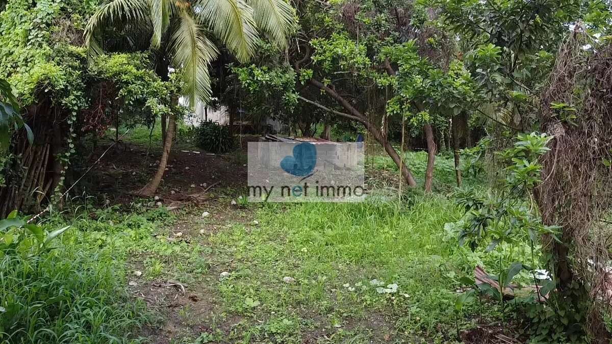 Terrain à SAINTE-ANNE