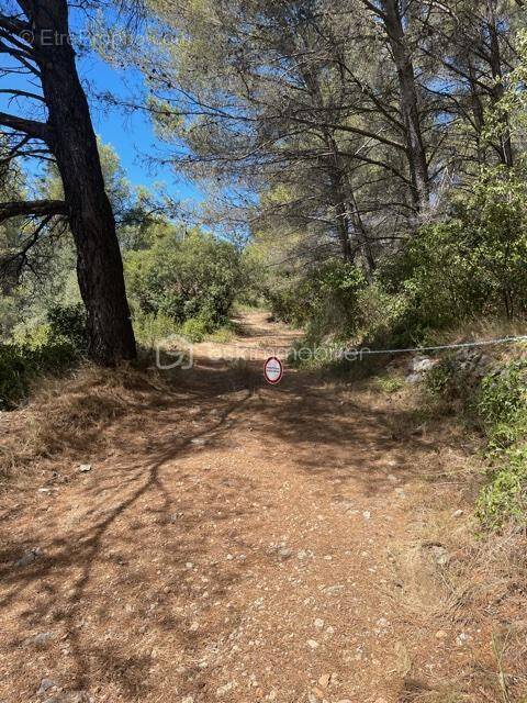 Terrain à SOLLIES-VILLE