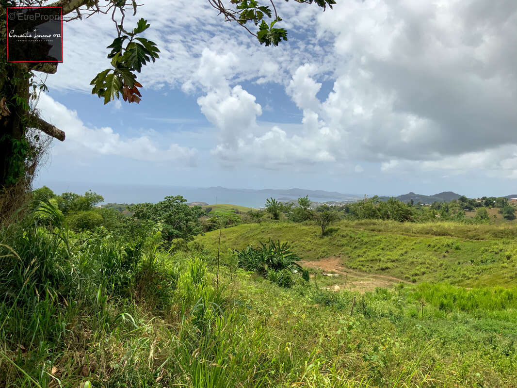 Terrain à SAINTE-MARIE