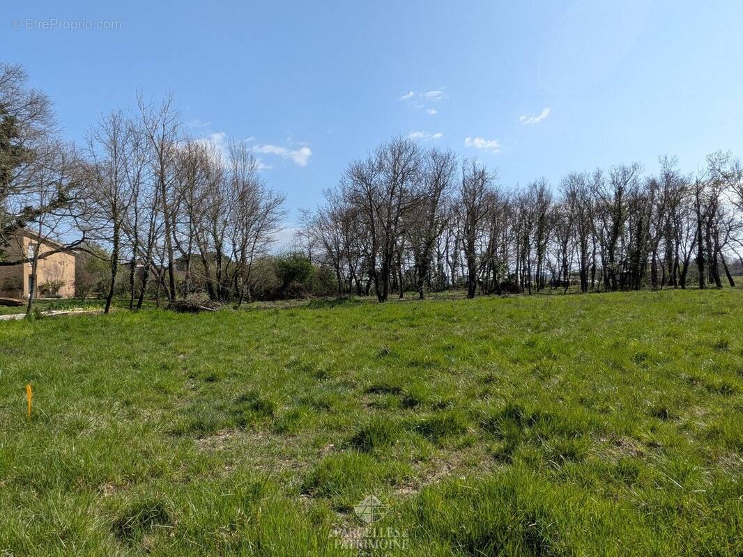 Terrain à MURET