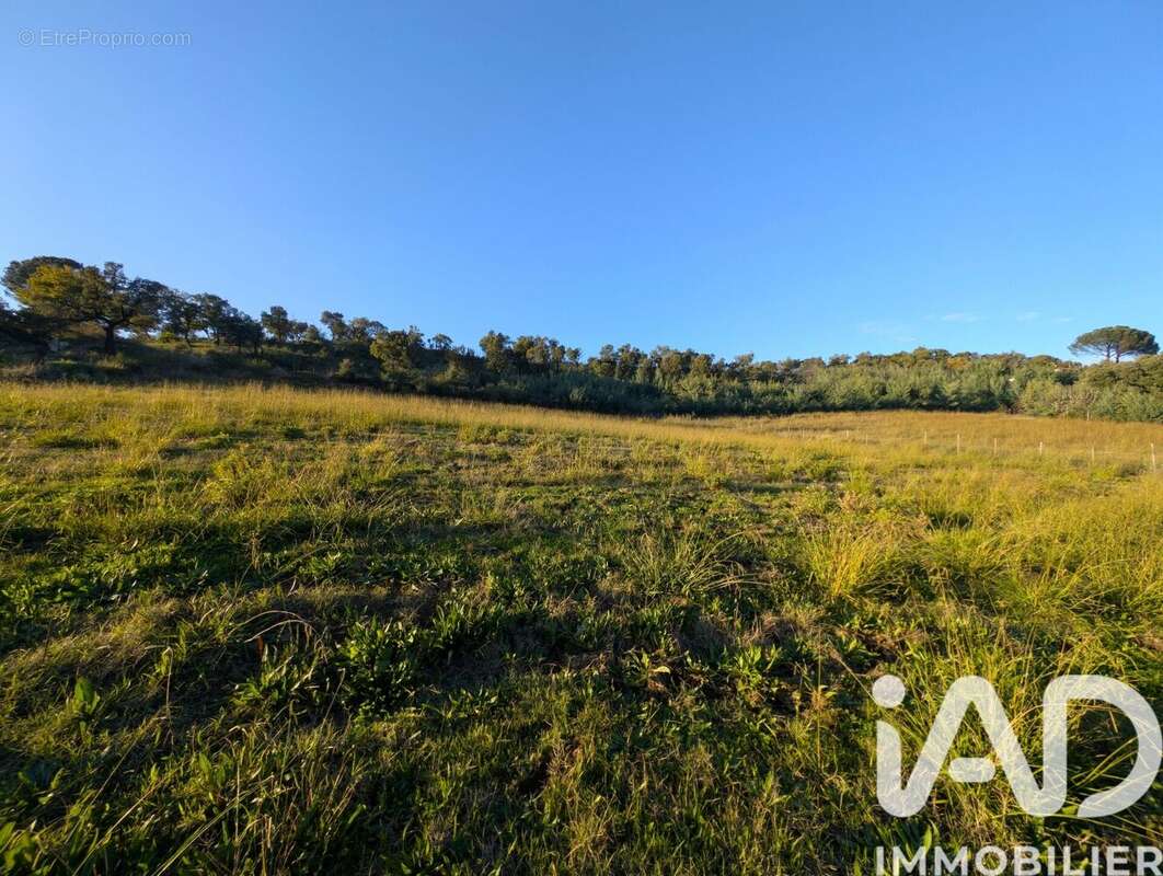 Photo 7 - Maison à COGOLIN