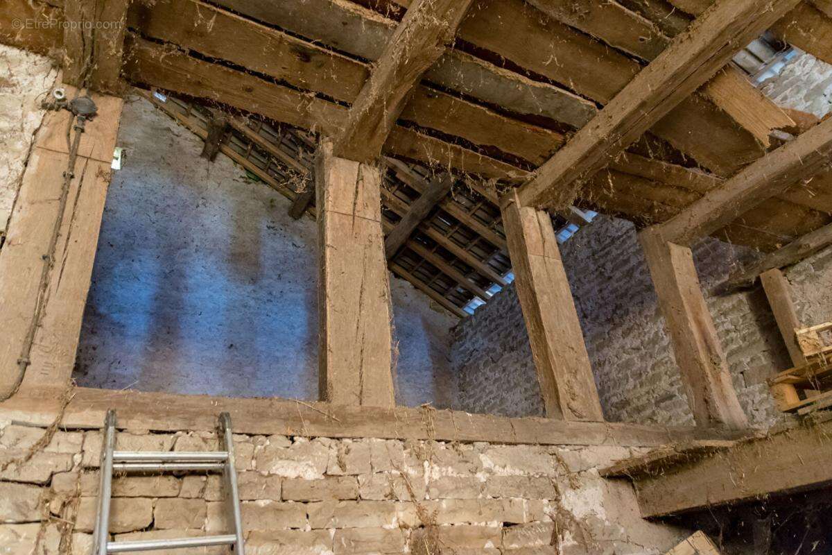 Maison  à rénover avec plus de 3 ha - photo 10