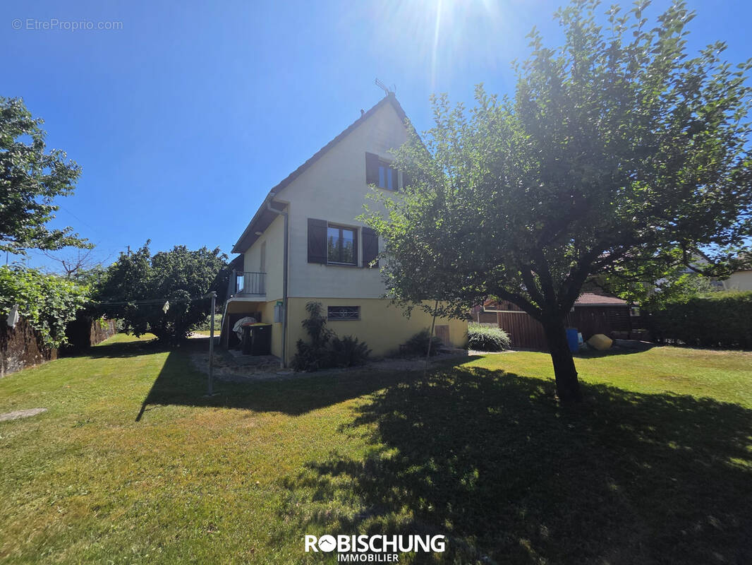 RETZWILLER : Jolie maison avec véranda, secteur Dannemarie - photo 9