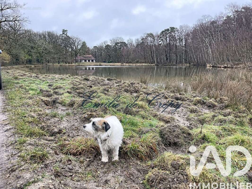 Photo 7 - Maison à LAMOTTE-BEUVRON