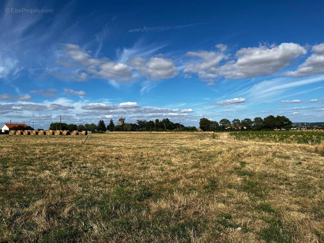 Terrain à LA CHAPELLE-SAINT-FLORENT